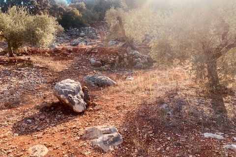 Helårsgrund i Comares, Malaga, Comares - € 25.000 | Ref: ID3898 - foto 7